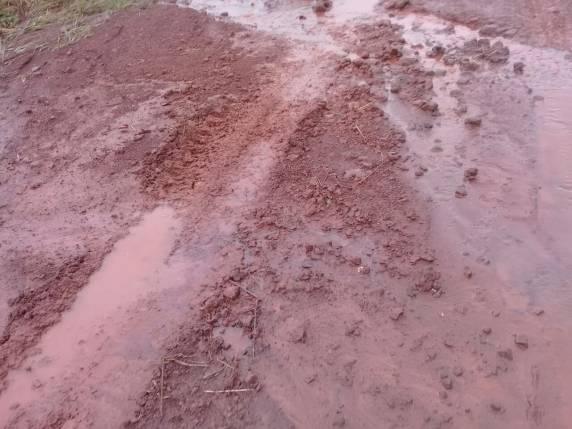 Moradores da comunidade de São Caetano
reclamam de situação de estrada - foto 4