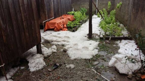 Tempestade com granizo provoca alagamentos, destelhamentos e queda de árvores em Lages - foto 4