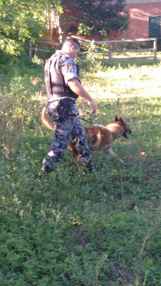 Brigada Militar prende em Ijuí elementos por tráfico - foto 2
