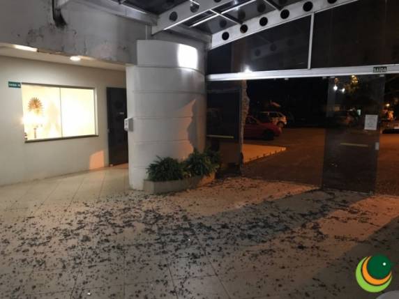 Motorista embriagado invade velório em cemitério de Passo Fundo - foto 4