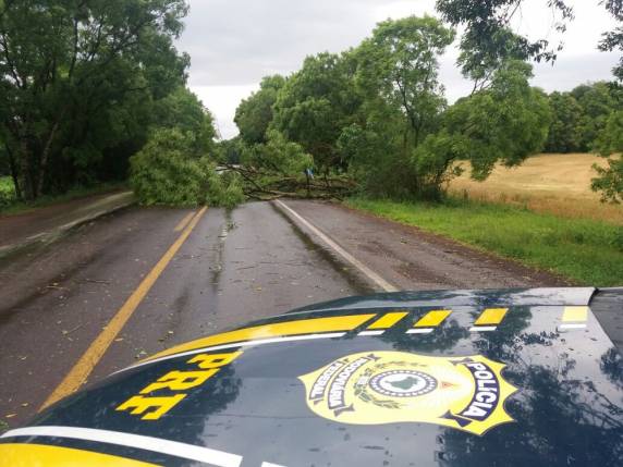 Ventania destelha residências e bloqueia trânsito no Norte do Rio Grande do Sul - foto 6