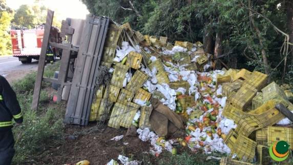 Uma motorista sofreu apenas ferimentos leves