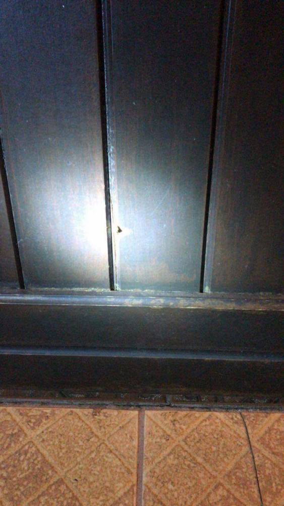 Tentativa de roubo em residência deixa uma pessoa ferida em Caseiros - foto 2