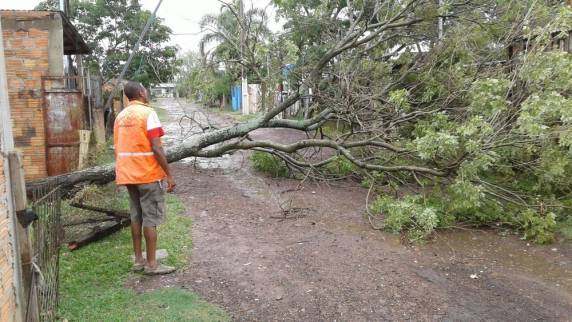 Vento forte e chuva
causam estragos no Rio Grande do Sul - foto 3