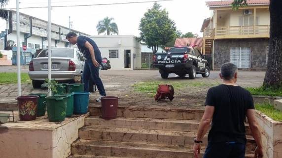 Mais de 100 pés de maconha são apreendidos em Cruz Alta - foto 4