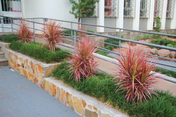 Três de Maio volta a ser Cidade Jardim - foto 2