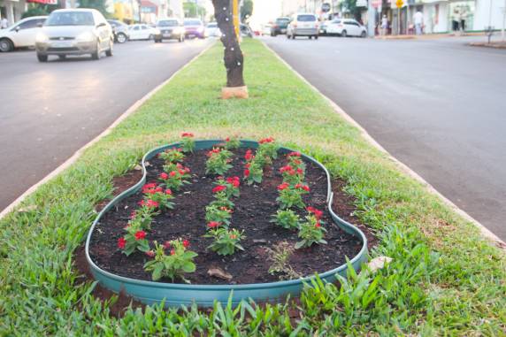 Três de Maio volta a ser Cidade Jardim - foto 3