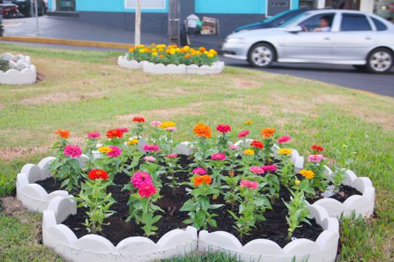 Três de Maio volta a ser Cidade Jardim - foto 5