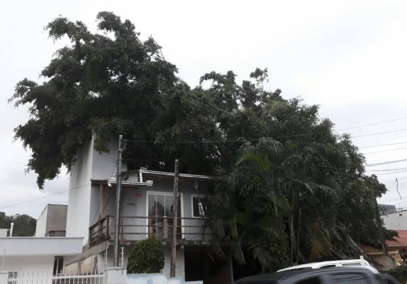 Em Balneário Camboriú, 32 quiosques de praia tiveram cobertura 

danificada. Em São José, igrejas católica e evangélica foram atingidas