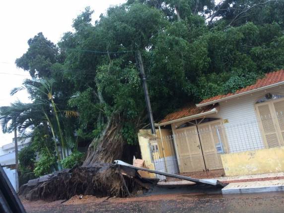 Vendaval e chuva causam estragos em cidades de SC - foto 4
