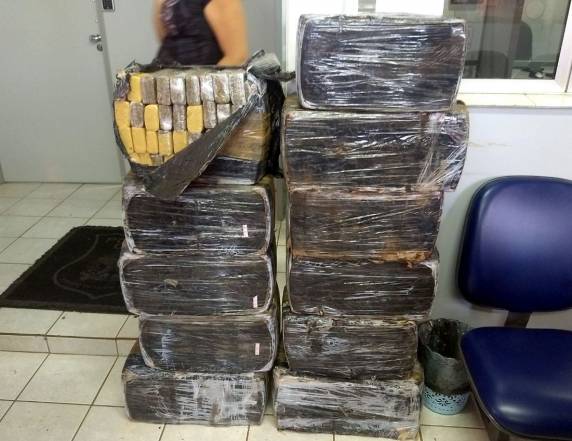 Ação conjunta da PRF e PM apreende 275 kg de maconha na BR 480 em Chapecó - foto 2