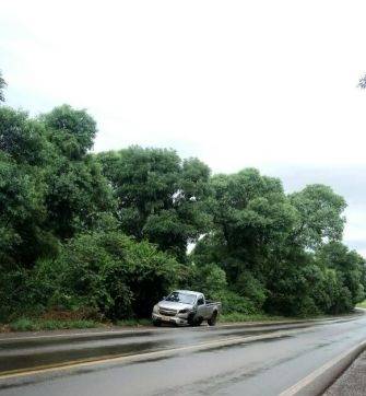 Criança fica gravemente ferida em acidente na BR 285, em Ijuí - foto 4