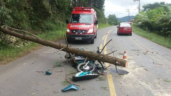 Acidente ocorreu na tarde deste sábado em Witmarsum. Condutora não conseguiu desviar da árvore e moto ficou destruída