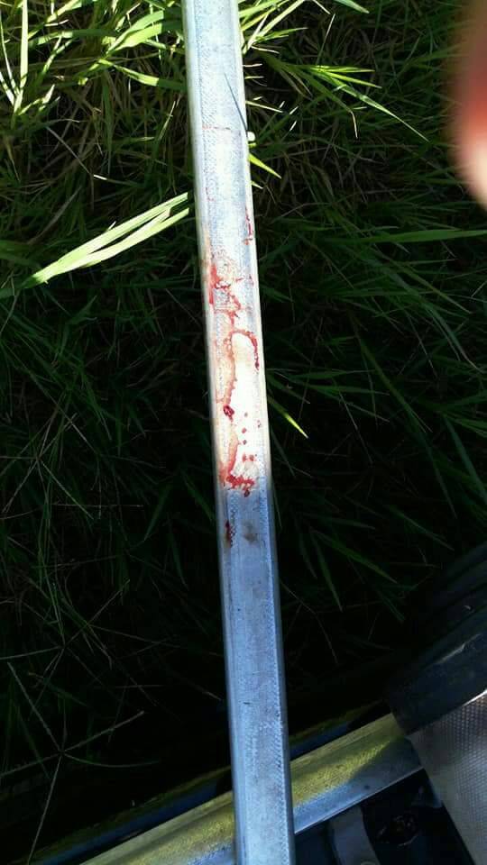 Polícia localiza veículo que pode ter sido usado em assalto a
cooperativa de Coronel Bicaco - foto 3