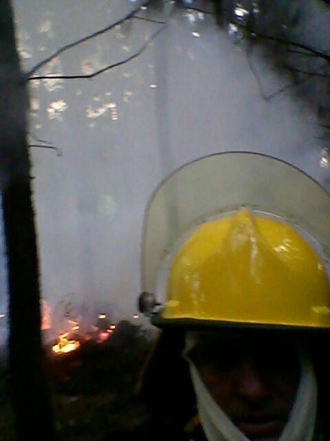 Bombeiros combatem incêndio em área de plantação de pinus no in terior de Boa Vista do Buricá - foto 5