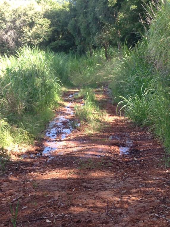 Morador de Inhacorá reclama da situação das estradas no interior do município - foto 3