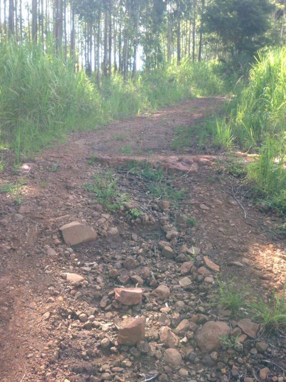 Morador de Inhacorá reclama da situação das estradas no interior do município - foto 5