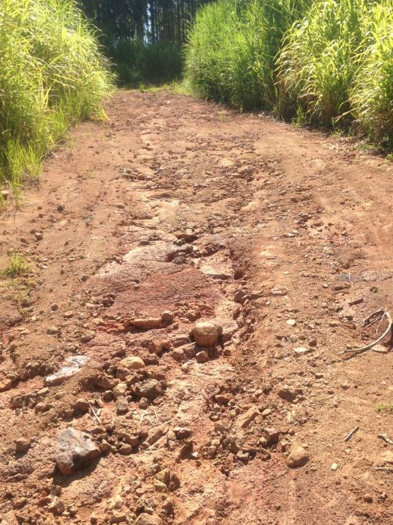 Morador de Inhacorá reclama da situação das estradas no interior do município - foto 6