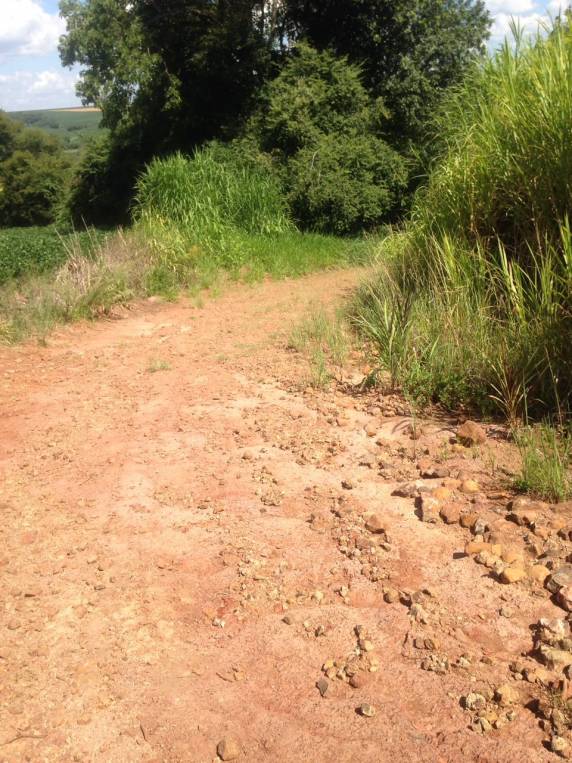 Morador de Inhacorá reclama da situação das estradas no interior do município - foto 7