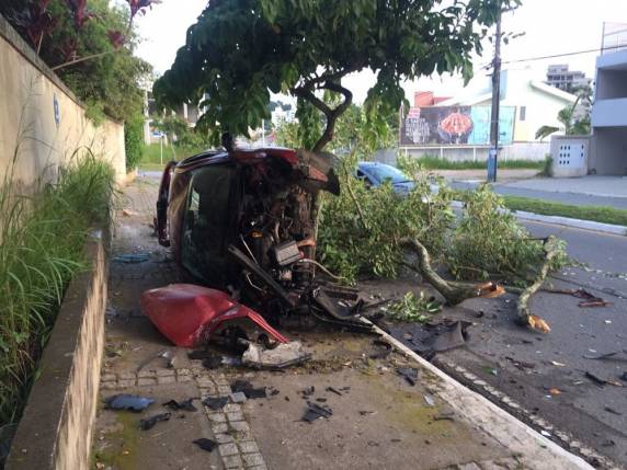 Veículo levou galhos da árvore junto até local onde parou, em outra árvore, na manhã deste sábado
