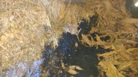 Homens chegaram na 

manhã desta terça-feira (13) no local, renderam um casal e um vizinho e atearam fogo em galpão