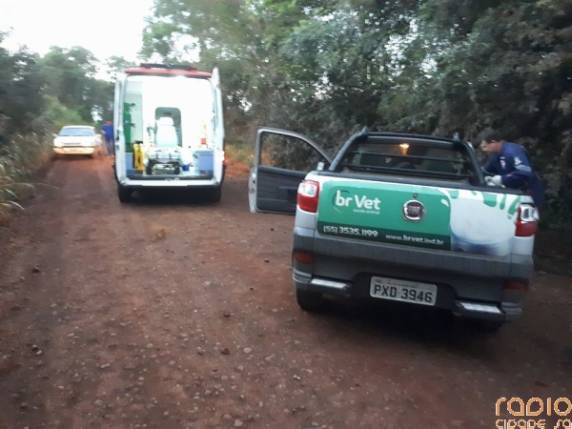 Colisão frontal deixa uma pessoa ferida no interior de Guarani das Missões - foto 2