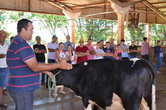 Encontro proporcionou um momento de aprendizagem teórico e prático sobre morfologia e adestramento correto dos animais