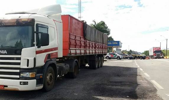 Carreta com 450 mil maços de cigarros contrabandeados é apreendida na BR 101 em Araquari - foto 4