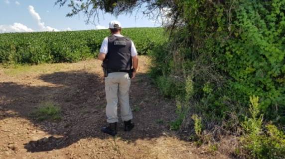 Polícia trabalha com 

hipótese de que disputas entre traficantes tenham motivado os crimes