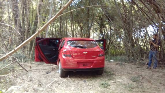 Polícia prende integrantes de
quadrilha que assaltou banco em Braga - foto 2