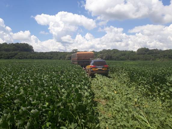 PRF apreende caminhão carregado com cerca de 200 mil maços de cigarro no Norte do Estado - foto 3