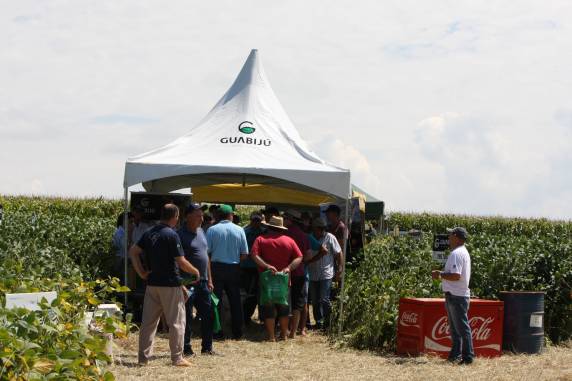 Vertente Agronegócios realiza dia de campo
com grande participação de produtores - foto 4