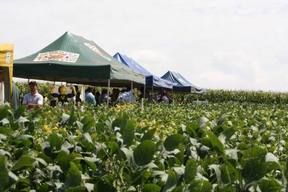 Vertente Agronegócios realiza dia de campo
com grande participação de produtores - foto 5