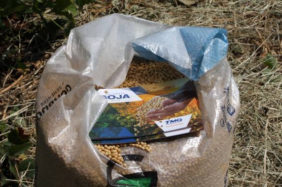 Vertente Agronegócios realiza dia de campo
com grande participação de produtores - foto 6