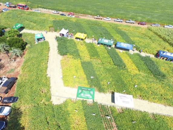 Vertente Agronegócios realiza dia de campo
com grande participação de produtores - foto 7