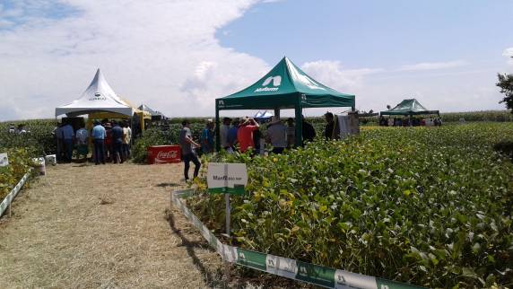 Vertente Agronegócios realiza dia de campo
com grande participação de produtores - foto 8