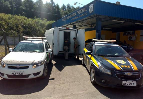 Ação conjunta PRF e PM apreende 1.400 quilos de camarões contrabandeados na BR 280 em Rio Negrinho - foto 2