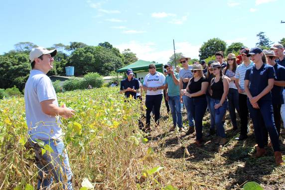 Dia de Campo apresenta novidades aos produtores - foto 3