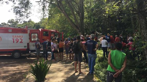 Caminhão carregado perde direção desce ladeira e bate em árvore na cidade de Horizontina - foto 3
