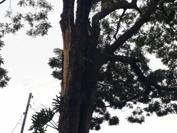 Temporais dos últimos dias tem provocado transtornos e prejuízos em Três de Maio - foto 3