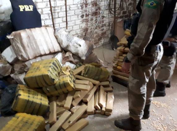 PRF apreende quase uma tonelada de maconha em meio a carga de milho na BR 163 em Guaraciaba - foto 3