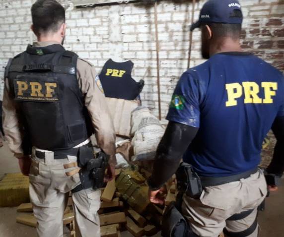 PRF apreende quase uma tonelada de maconha em meio a carga de milho na BR 163 em Guaraciaba - foto 4