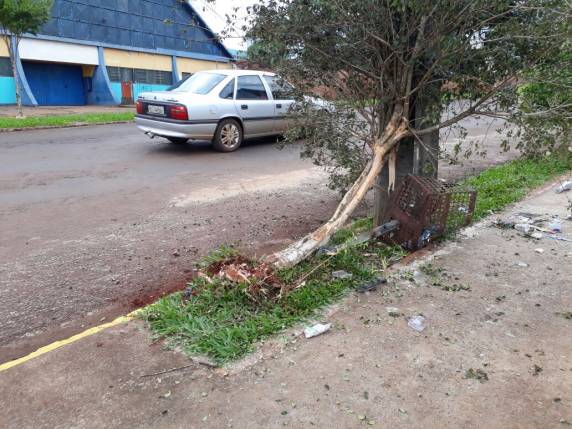 Motorista
perde o controle da direção e bate veículo contra árvore e lixeira, em Três de Maio - foto 3