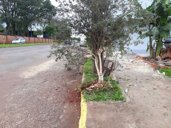 Motorista
perde o controle da direção e bate veículo contra árvore e lixeira, em Três de Maio - foto 4
