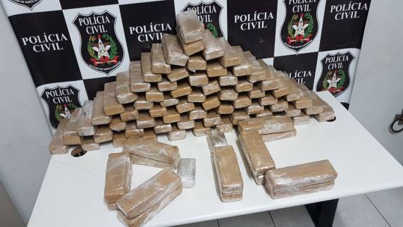 Polícia Civil deflagra operação ''Dragão de Komodo'' com uma das maiores apreensões de droga do ano em
Chapecó - foto 2