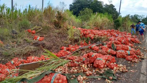 Caminhão com carga 

de cebola capota na RSC 472 - foto 3