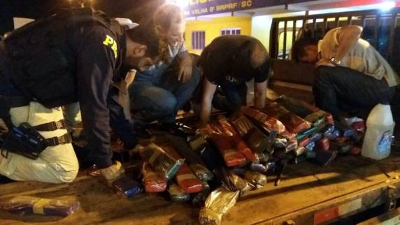 Operação conjunta PRF e PF apreende 200 quilos de maconha escondida embaixo do assoalho de caminhonete em Barra
Velha - foto 2