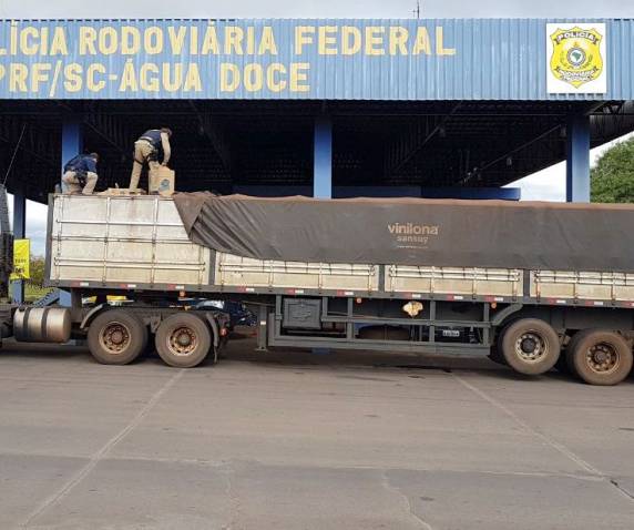 PRF apreende carreta com 425 mil maços de cigarros contrabandeados na BR 153 em Água Doce - foto 3