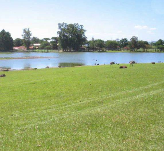 Engenheira agrônoma Patrícia Simon, associada da Unitec, reforça a importância de todos os produtores realizarem o 

cadastro de seus imóveis rurais