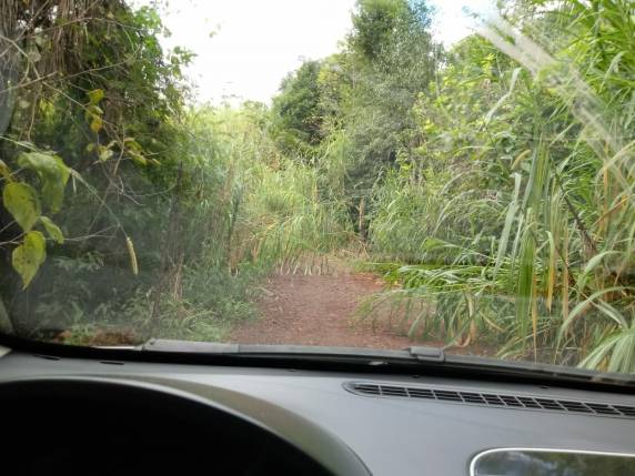 Agricultor reclama de estrada no interior de Três de Maio - foto 4
